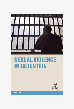 Sexual Violence in Detention