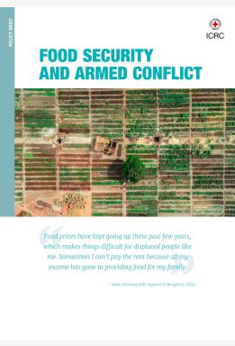 Food security and armed conflict