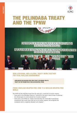 The Pelindaba Treaty and the TPNW