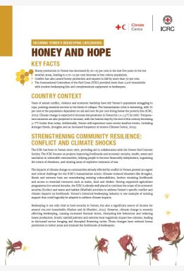 Honey and Hope: Securing Yemen’s Beekeeping Livelihoods