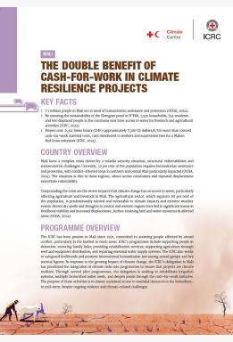 Mali: The double benefit of cash-for-work in climate resilience projects