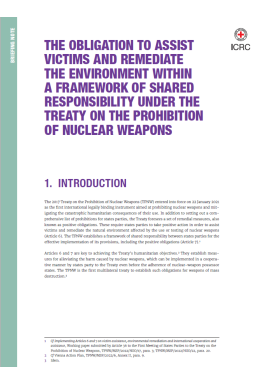 The Obligation to Assist Victims and Remediate the Environment within a Framework of Shared Responsibility under the Treaty on the Prohibition of Nuclear Weapons